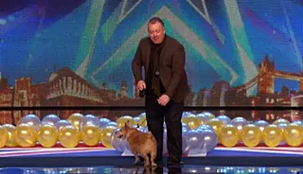 Will Mitch and Cally the Wonder Dog go out with a bang- - Britain's Got Talent 2015
