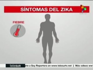 Alerta en América Latina por el virus Zika