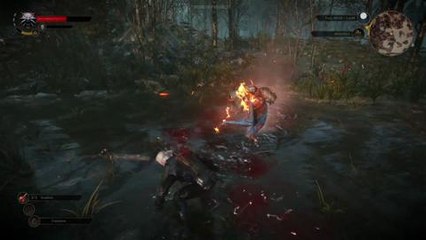 The Witcher 3 Wild Hunt “Downwarren” gameplay teaser