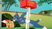 قصص توم و جيري القط توم النجم ( حلقة كاملة وجديدة Tom Jerry izle توم و جيري 湯姆和傑瑞