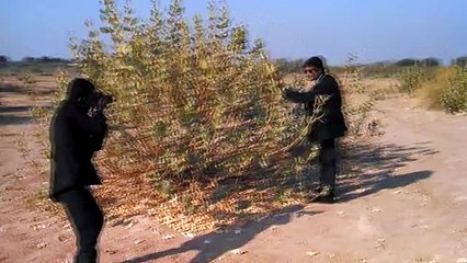 Friends Tower In Ryk Abu Dhabi Mahal