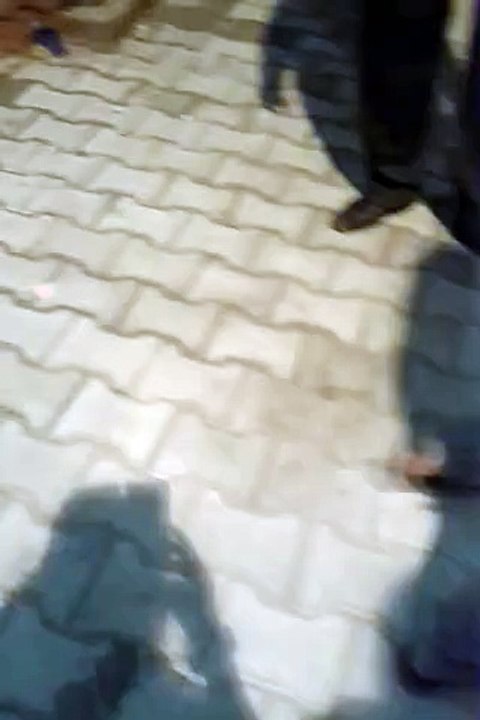 famliy video