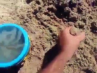 Doldurma Bölgelerin Depreme Olan Tepkisi