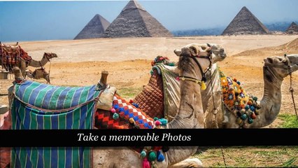 Ain Sokhna Shore Excurions - Ibis Egypt Tours