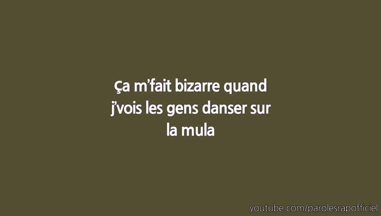 MHD - AFRO TRAP (Part. 5) (Paroles⁄Lyrics)