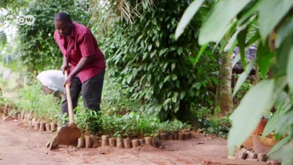 Zanzibar: Organic spices as a source of income | Global 3000