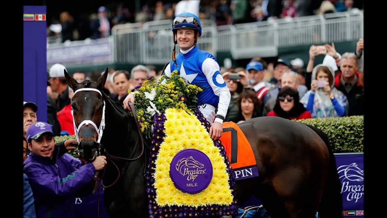 2015 Eclipse Award Winners