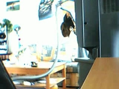 INCROYABLE MAIS VRAI!