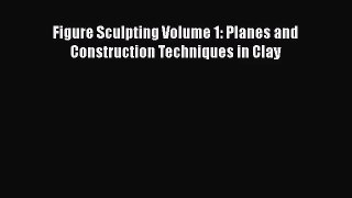 [PDF Download] Figure Sculpting Volume 1: Planes and Construction Techniques in Clay [PDF]
