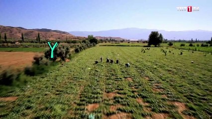 Yeşil Deniz Engelsiz 55.Bölüm