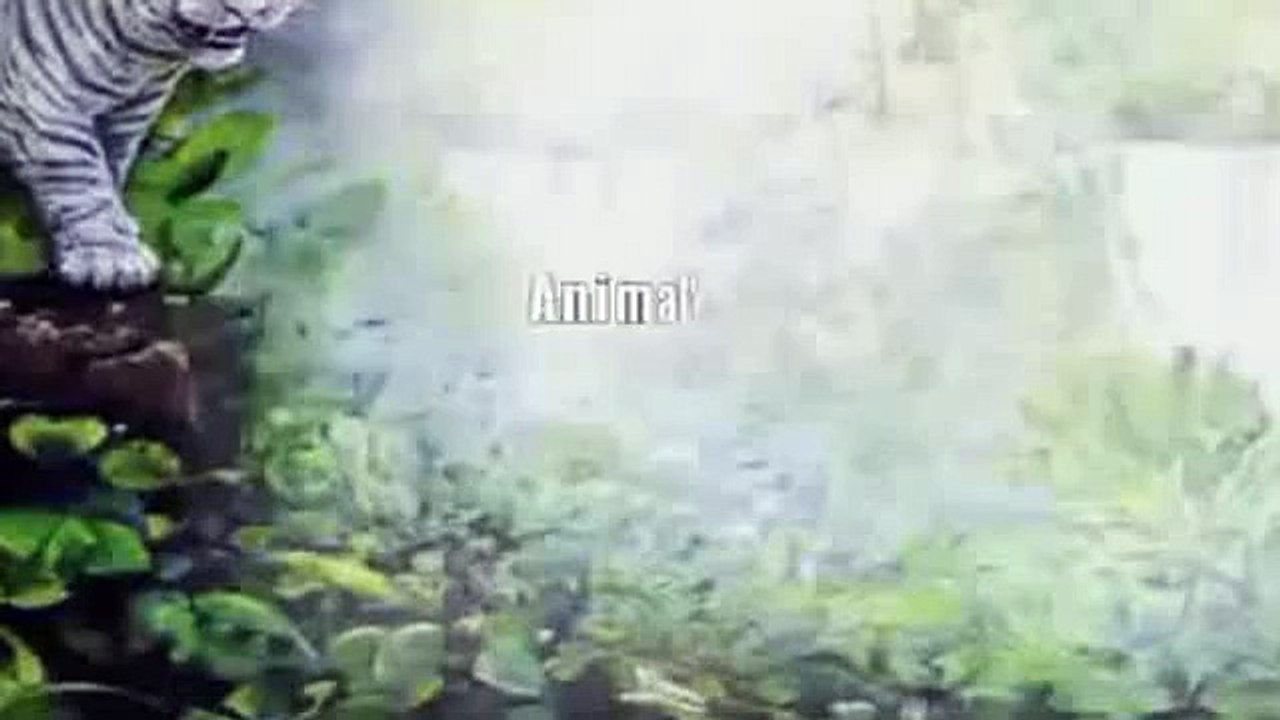 crocodile attacks elephant