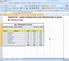 EXCEL FORMATTING AND PERCENTAGE FORMULA