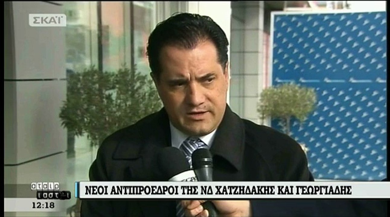 VIDEO - ΔΗΛΩΣΕΙΣ ΓΕΩΡΓΙΑΔΗ