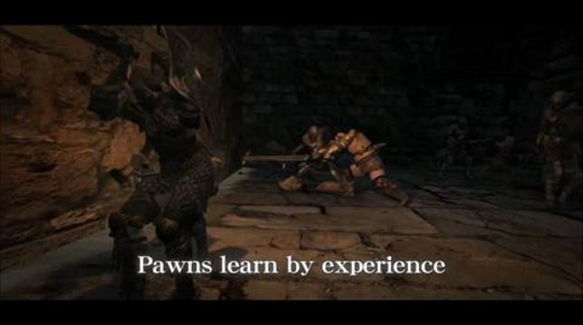 Los peones de Dragon's Dogma en HobbyNews.es