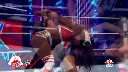 The Worst Wrestling Finishers 2015 -