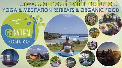 yoga retreat for beginners