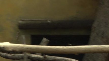 Presentación de la Koala Eyepet en HobbyNews.es