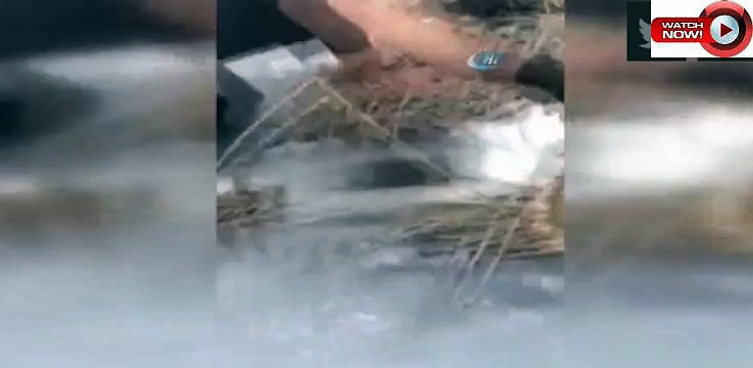 Buz tutan gölette delik açıp elleriyle  Balık tuttu !-Fish kept holding her hands open hole in the ice pond