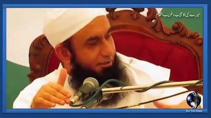 molana tariq jameel Mere Nabi ka ajeeb o gareeb intqam