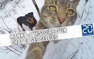 Manny, le chat maître des selfies