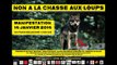 manifestation pour la protection des loups Lyon 16 01 2016