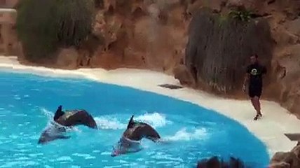 VID-20151101-WA0000.mp4