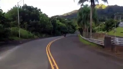 Ce motard a fait une grosse frayeur à sa copine