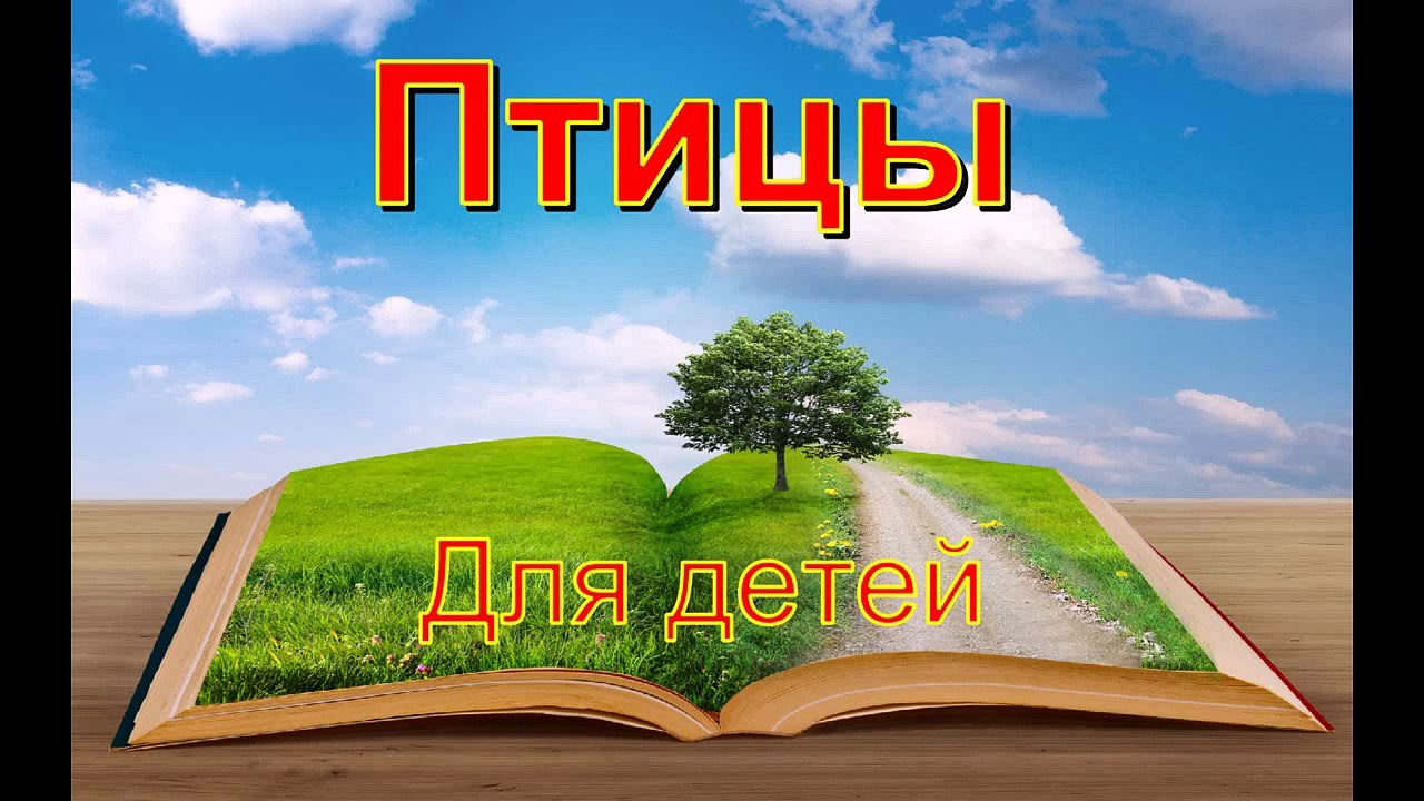 Развивающий мультик для детей по Доману от 1-3 лет Птицы для детей (часть-1)