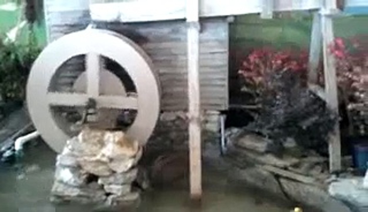 Cute ducks plays on water slide   Funny video 2015