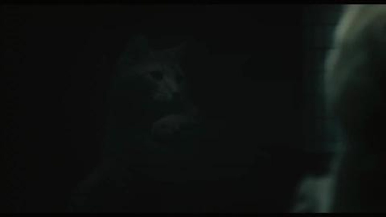 Inside Llewyn Davis - Official Trailer #1 [HD]:...