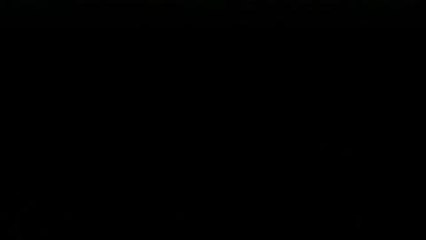 Dragon-u0027s Crown - Battle Arena