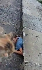 Une fille se faufile dans une bouche d'égout pour sauver un chaton