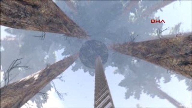 Turkish Architects To Design Bird-nest-shaped House İn Memory Of David Bowie