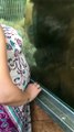 Pregnant lady puts her belly on the glass, so cute, what happened next