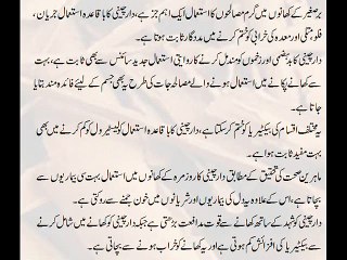 Daar Cheeni Ke Fawaid