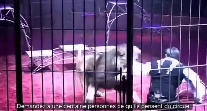 Vous ne verrez plus les cirques comme avant après avoir vu cette vidéo