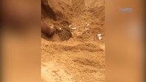 Nascimento de tartarugas na Praia de Carapebus, na Serra