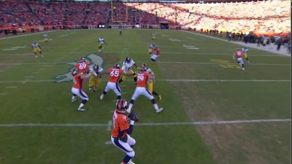 Palmer: Broncos excited with Manning leading offense
