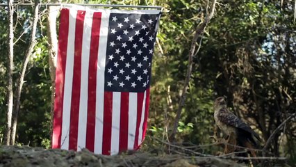 Bryan Wilson - TEXAS LAW HAWK