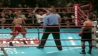 WHEN BOXERS LOSE CONTROL Part 9