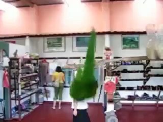 Amazing  parrot in happy mood