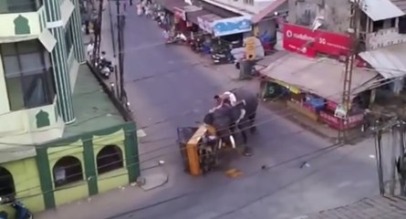 Inde : un éléphant fou attaque dans la rue