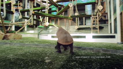 AGORA - 14 janvier 2016 - Voyons Voir  - TéléGrenoble