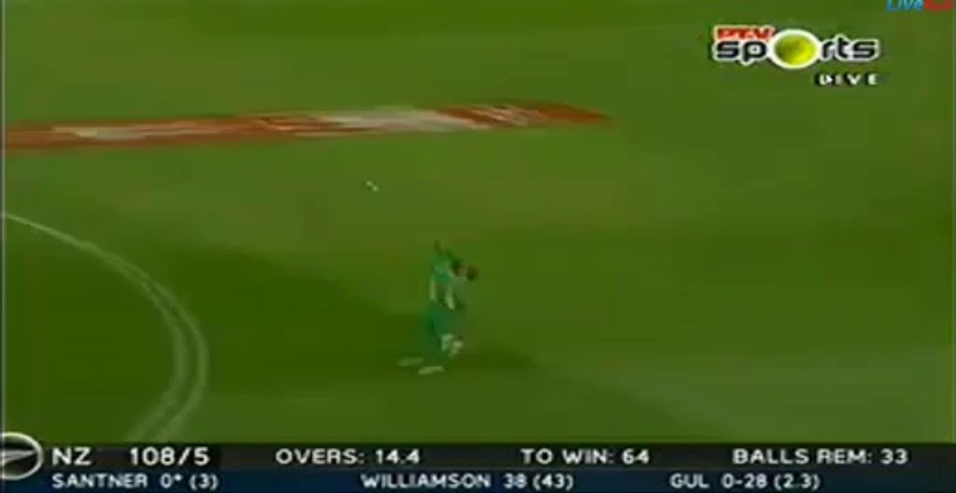 Shahid Afridi best catch 2016 vs newziland
