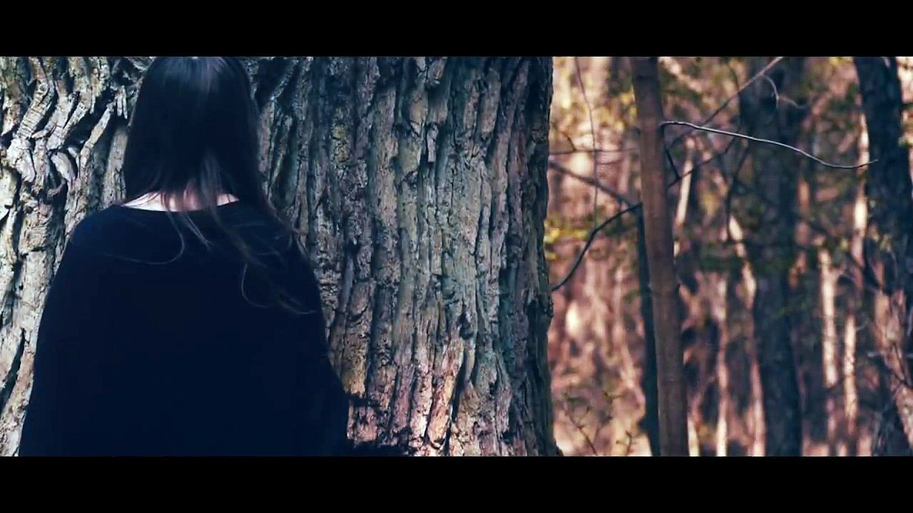 Eren Aydin-sen hanci ben yolcu