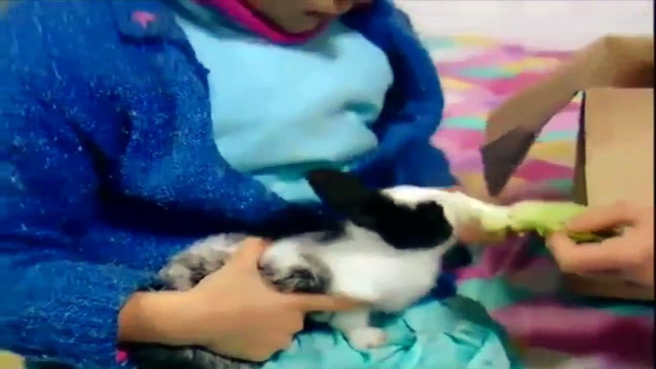 Antalyalı Şair Veli Tez-Ağlattılar Beni