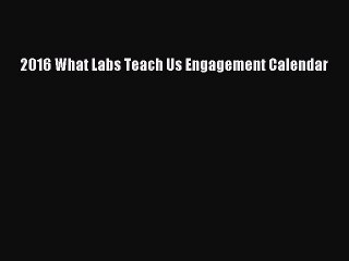[PDF Download] 2016 What Labs Teach Us Engagement Calendar [Read] Full Ebook