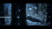Company of Heroes 2- Ardennes Assault - Trailer de lanzamiento.