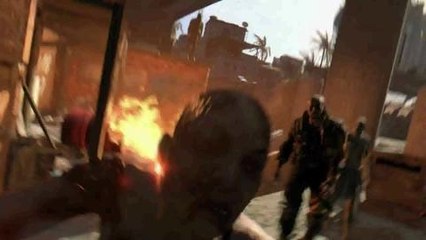 DYING HIGHLIGHT Traps[1]