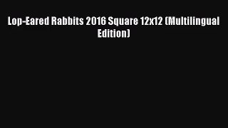 [PDF Download] Lop-Eared Rabbits 2016 Square 12x12 (Multilingual Edition) [Download] Full Ebook